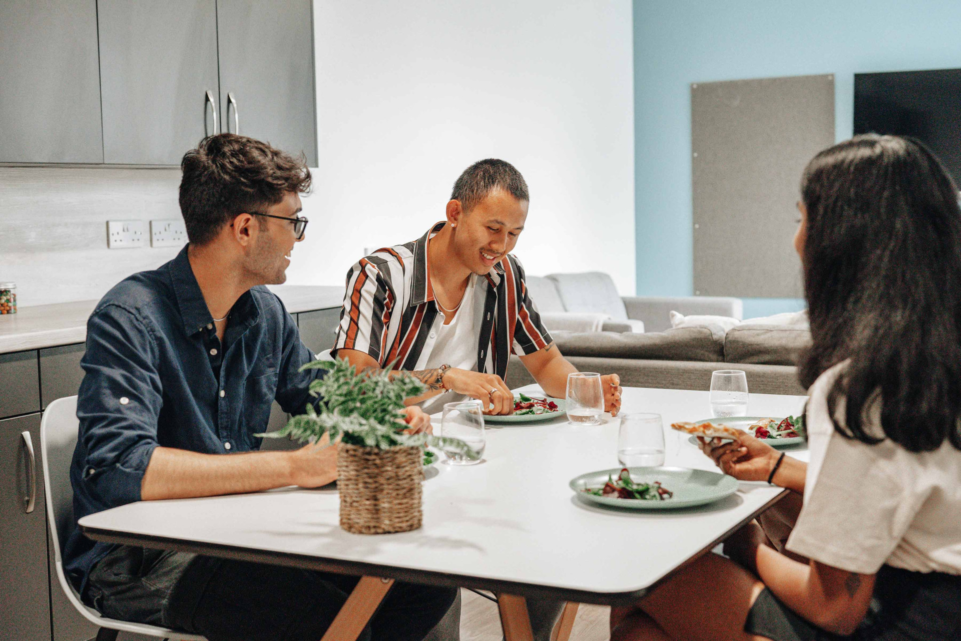 8243363.jpg